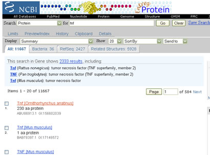 NCBI protein result page